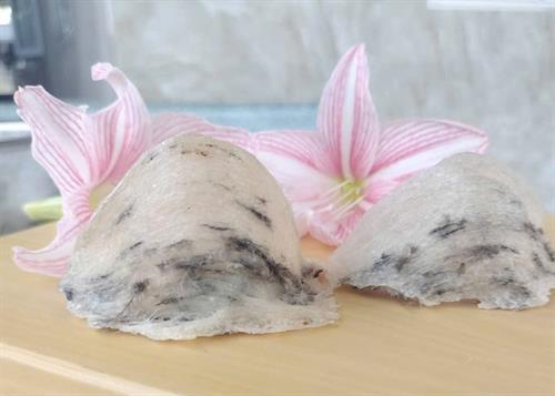 TỔ YẾN NGUYÊN CHẤT - YẾN SÀO LÊ HẰNG TLC